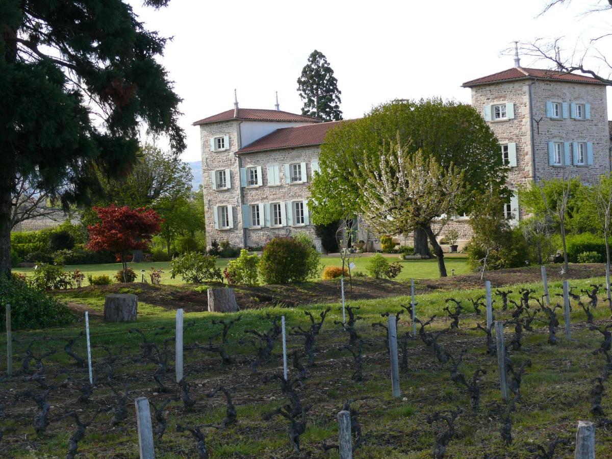 Chateau De Grandmont Chambres D'Hotes Blace Luaran gambar