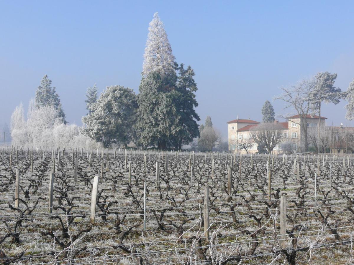 Chateau De Grandmont Chambres D'Hotes Blace Luaran gambar